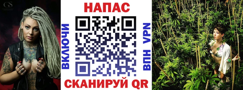 Бошки Шишки гибрид  Купить где  Каневская 